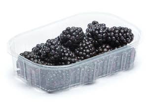 Björnbär Klass1 Nederländerna