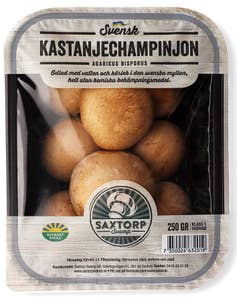 Skogschampinjoner Sverige Klass1 Sverige