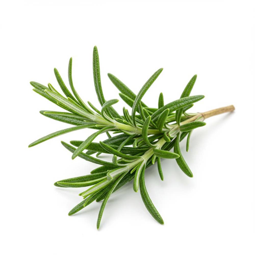 Rosmarin KRAV flowpack Sverige