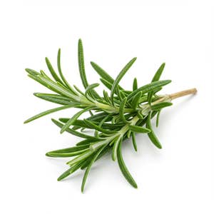 Rosmarin KRAV flowpack Sverige