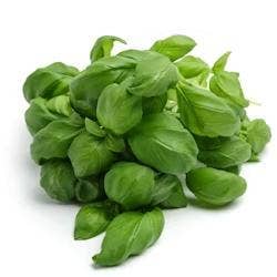 Basilika KRAV flowpack Sverige