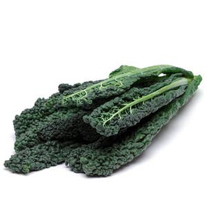 Svartkål Klass1 Nederländerna