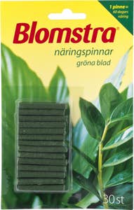 Blomstra Näringspinnar Gröna Växter