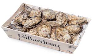 Bergfalk Ostron Gillardeau No4 12-p Bergfalk