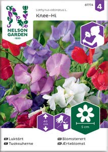 Nelson Garden Odlingsfrön Luktärt Royal mix