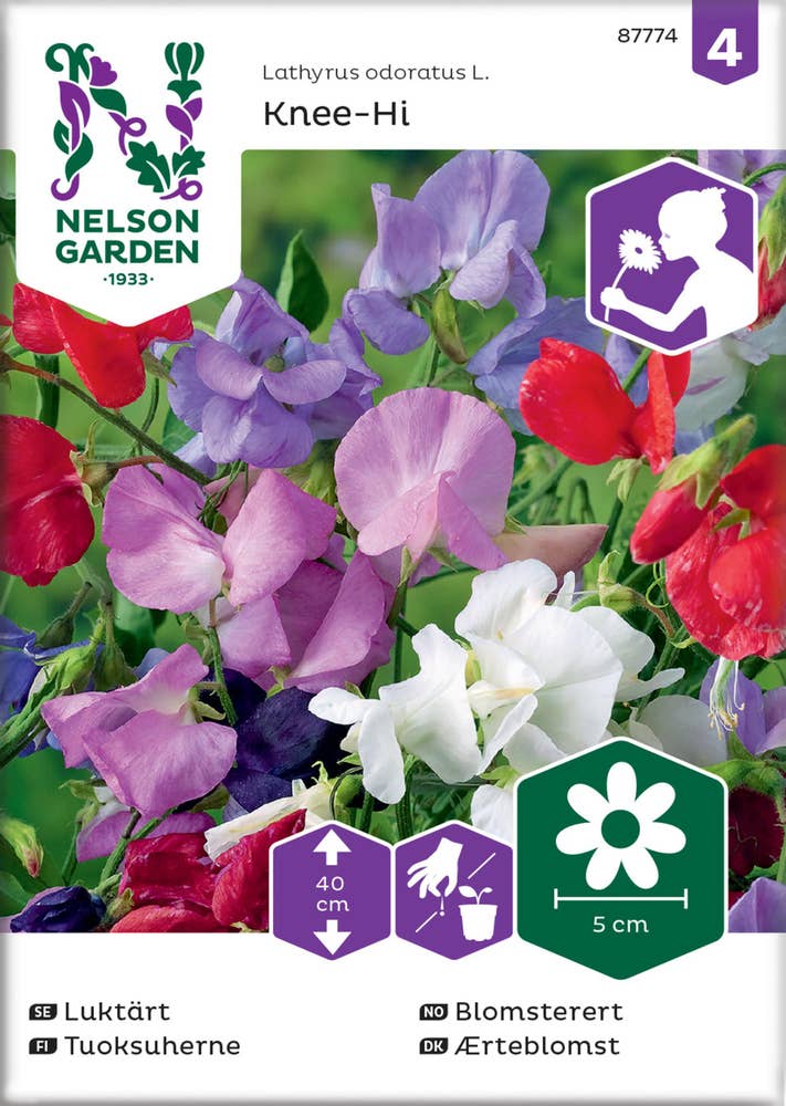 Nelson Garden Odlingsfrön Luktärt Royal mix