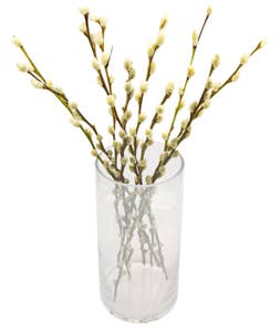 Mimea AS Videkvistar