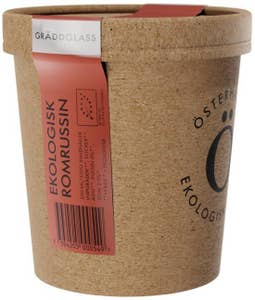 Österhagen Glass Gräddglass Romrussin EKO