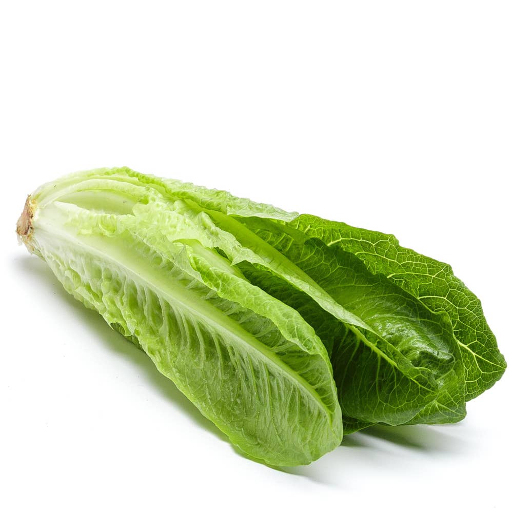 Romansallad EKO Klass1 Spanien