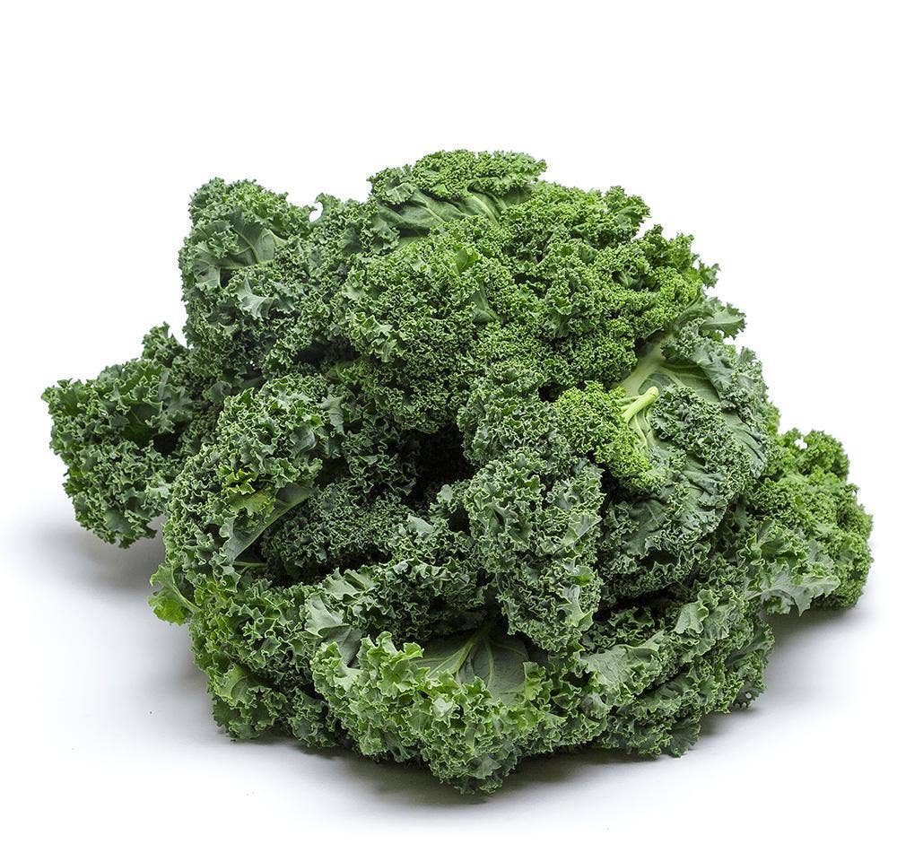 Grönkål Klass1 Nederländerna