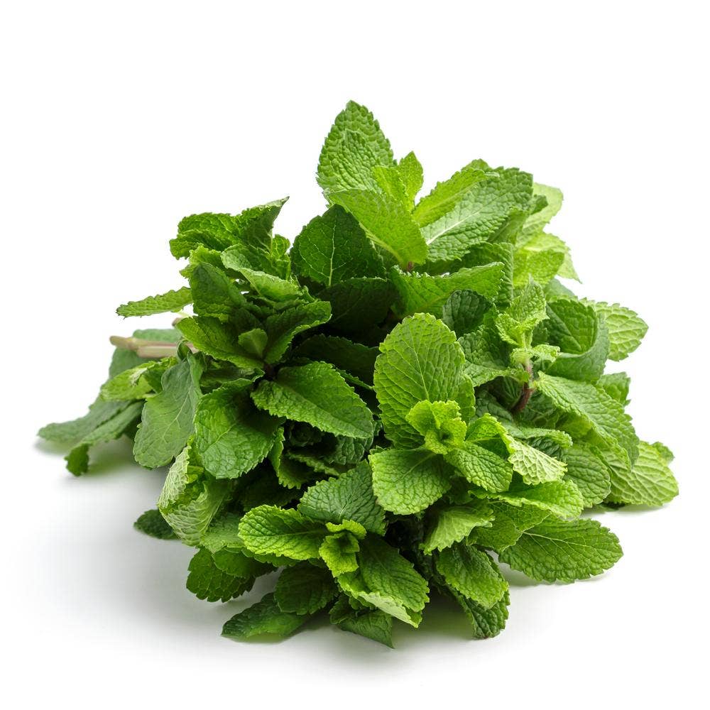 Mynta i flowpack Klass1 Italien