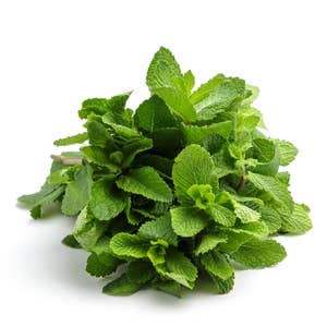 Mynta i flowpack Klass1 Italien