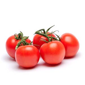 Tomat Kvist Klass1 Nederländerna