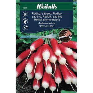 Weibulls Odlingsfrön Rädisa Såband