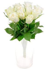 Mimea AS Rosor vita 10-pack Kenya