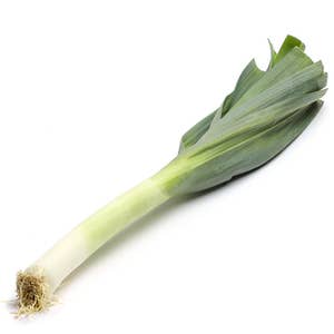 Purjolök Klass1 Nederländerna