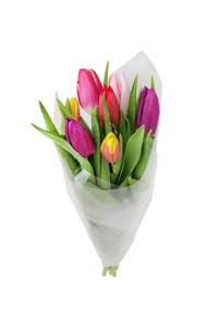 Tulpanmix 7-p Sverige