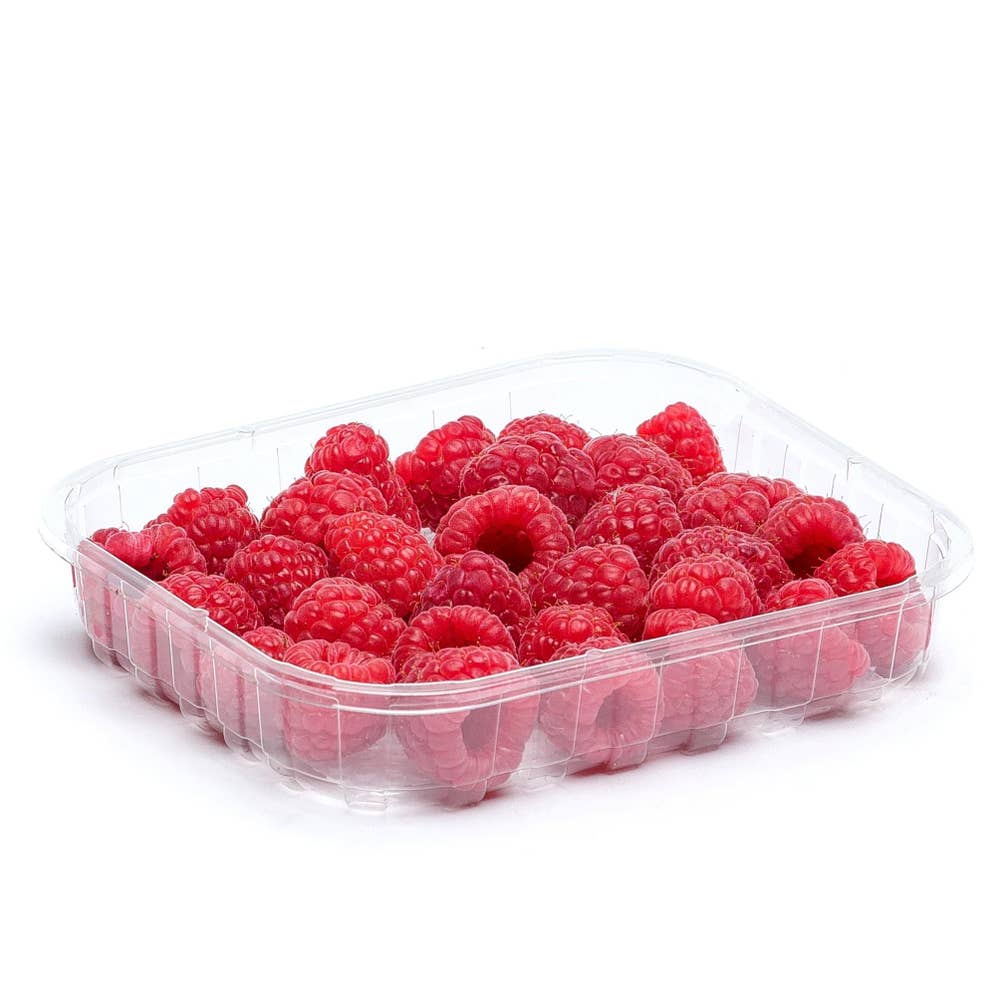 Hallon Klass1 Portugal