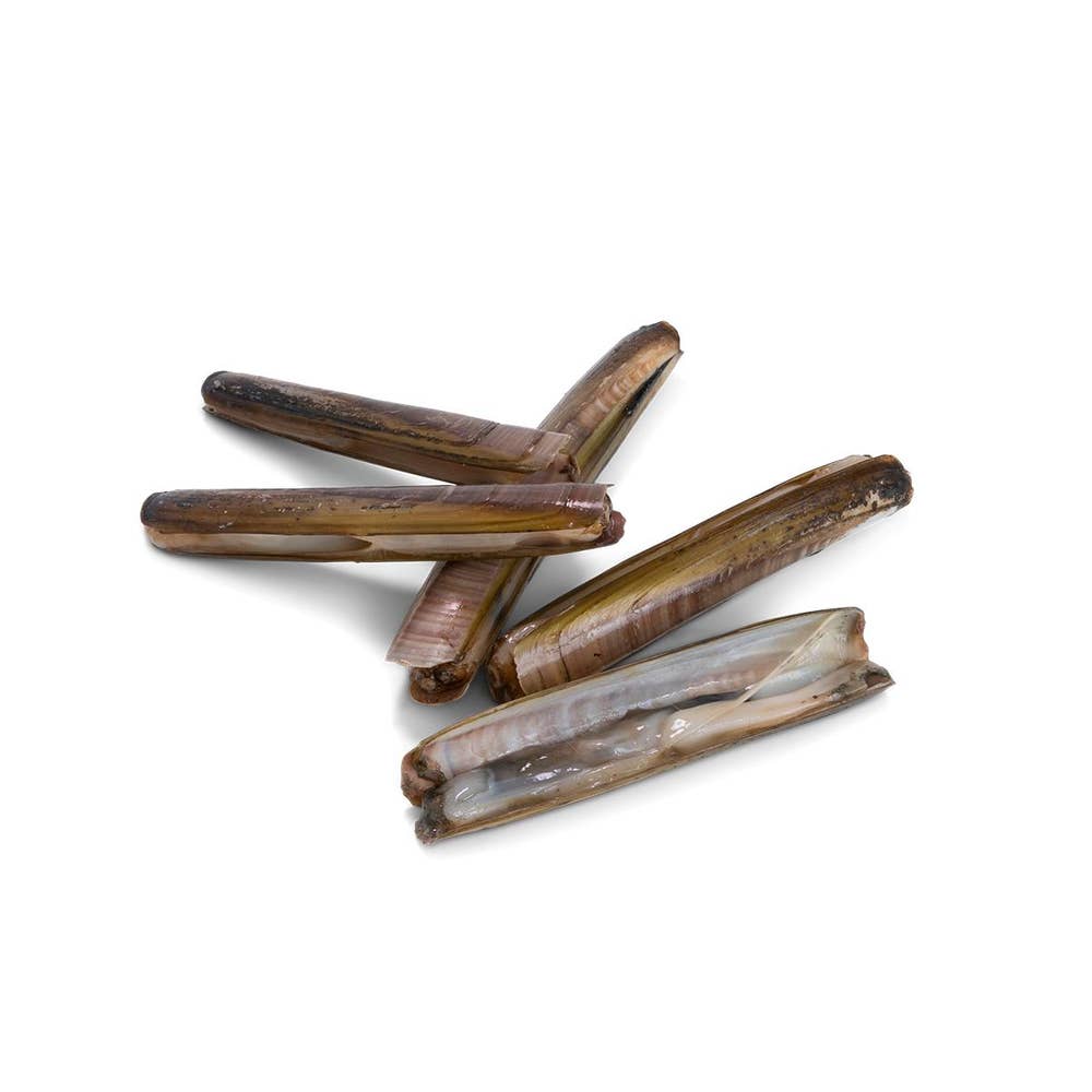 Bergfalk Knivmusslor MSC