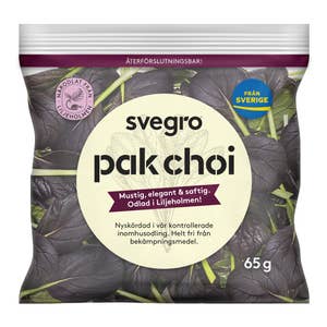 Svegro Pak Choi Stadsodlad Klass1 Sverige