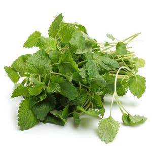Citronmeliss KRAV flowpack Sweden