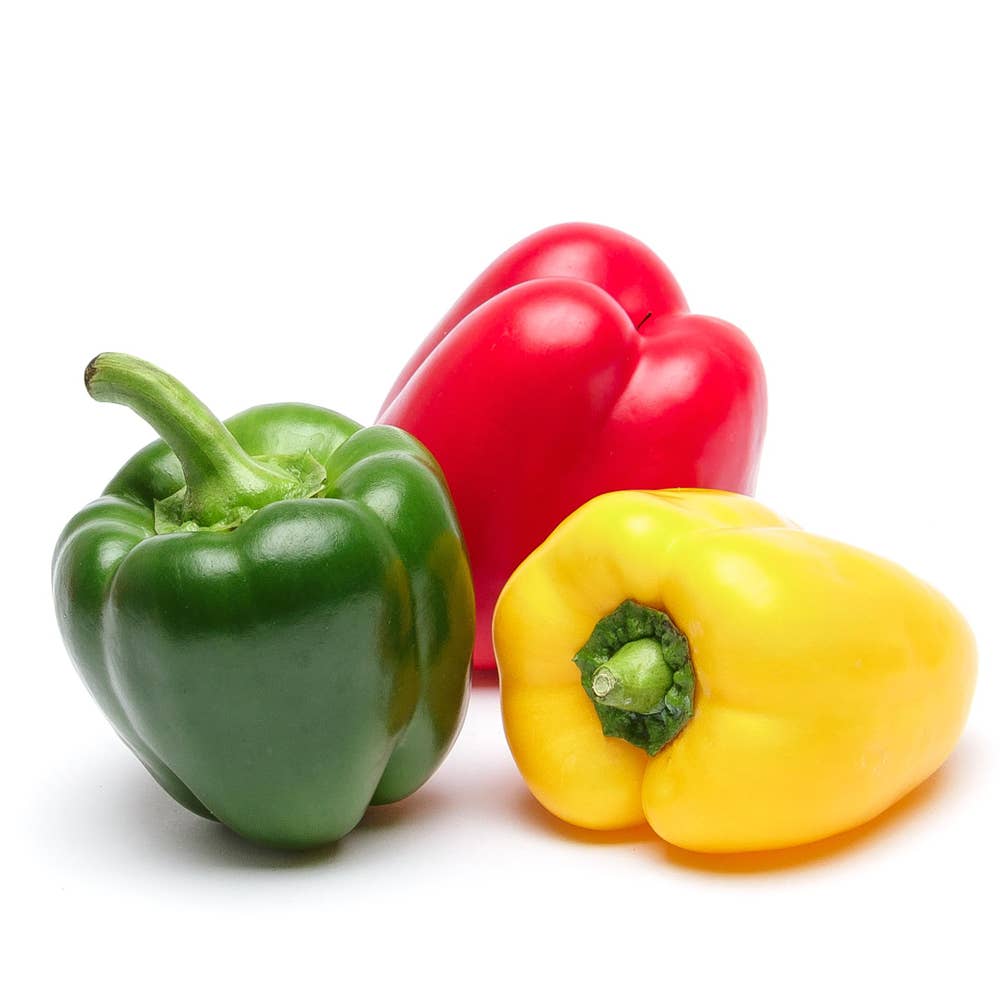 Paprikamix Klass1 Nederländerna