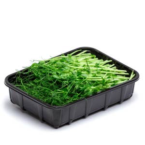 Ärtskott EKO/KRAV Klass1 Sverige