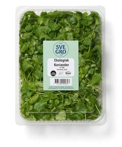Koriander EKO skuren i ask Klass1 Sverige