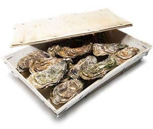 Orust Shellfish Ostron Table Grown