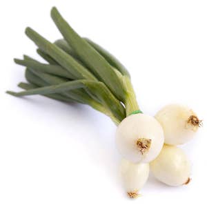 Lök Gul i Knippe Klass1 Sverige