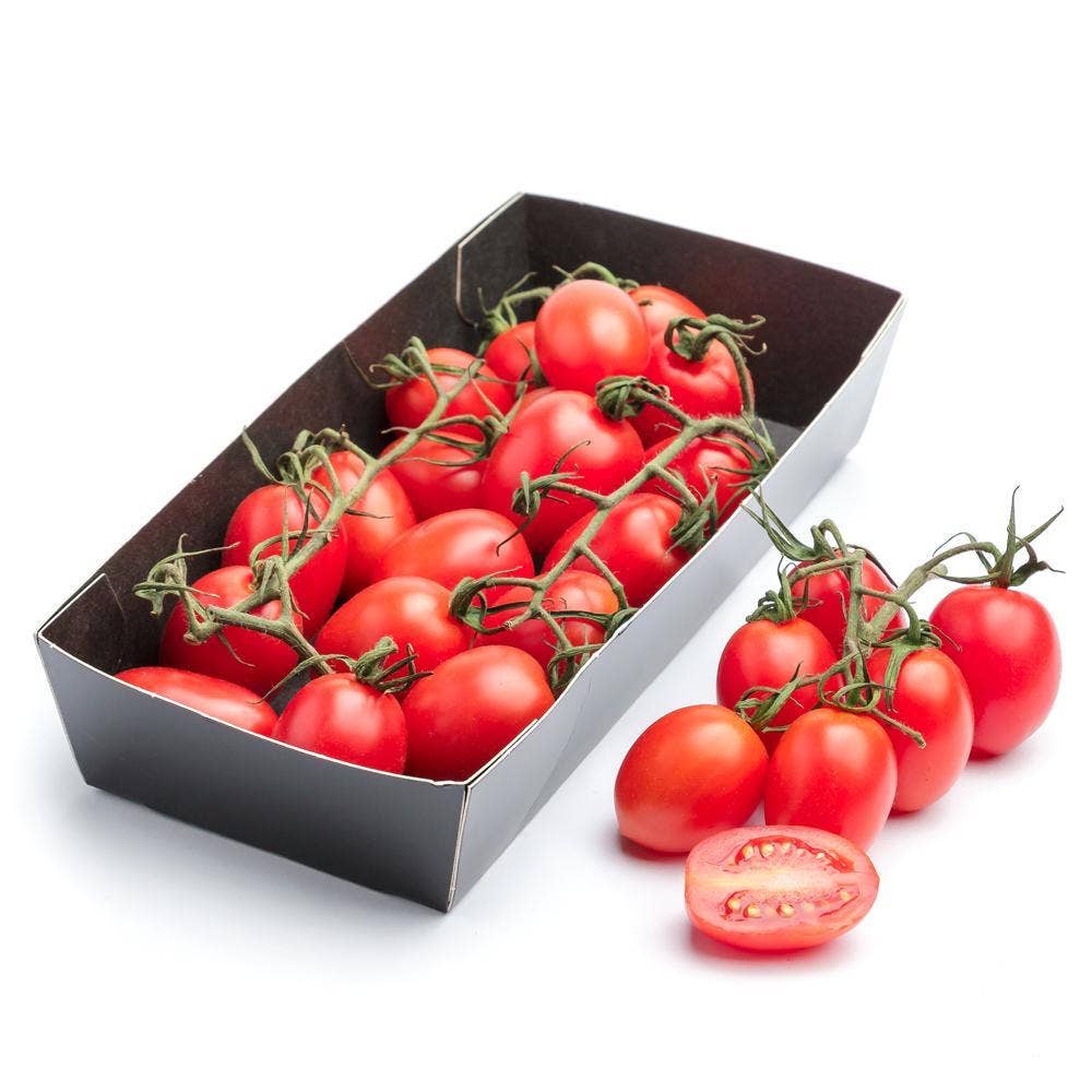 Tomat Fantastika Klass1 Nederländerna