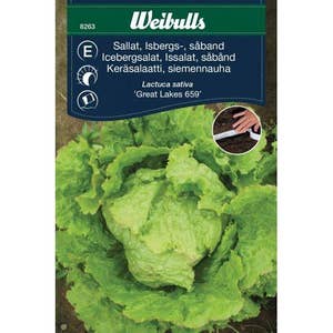 Weibulls Odlingsfrön Isbergsallad Såband