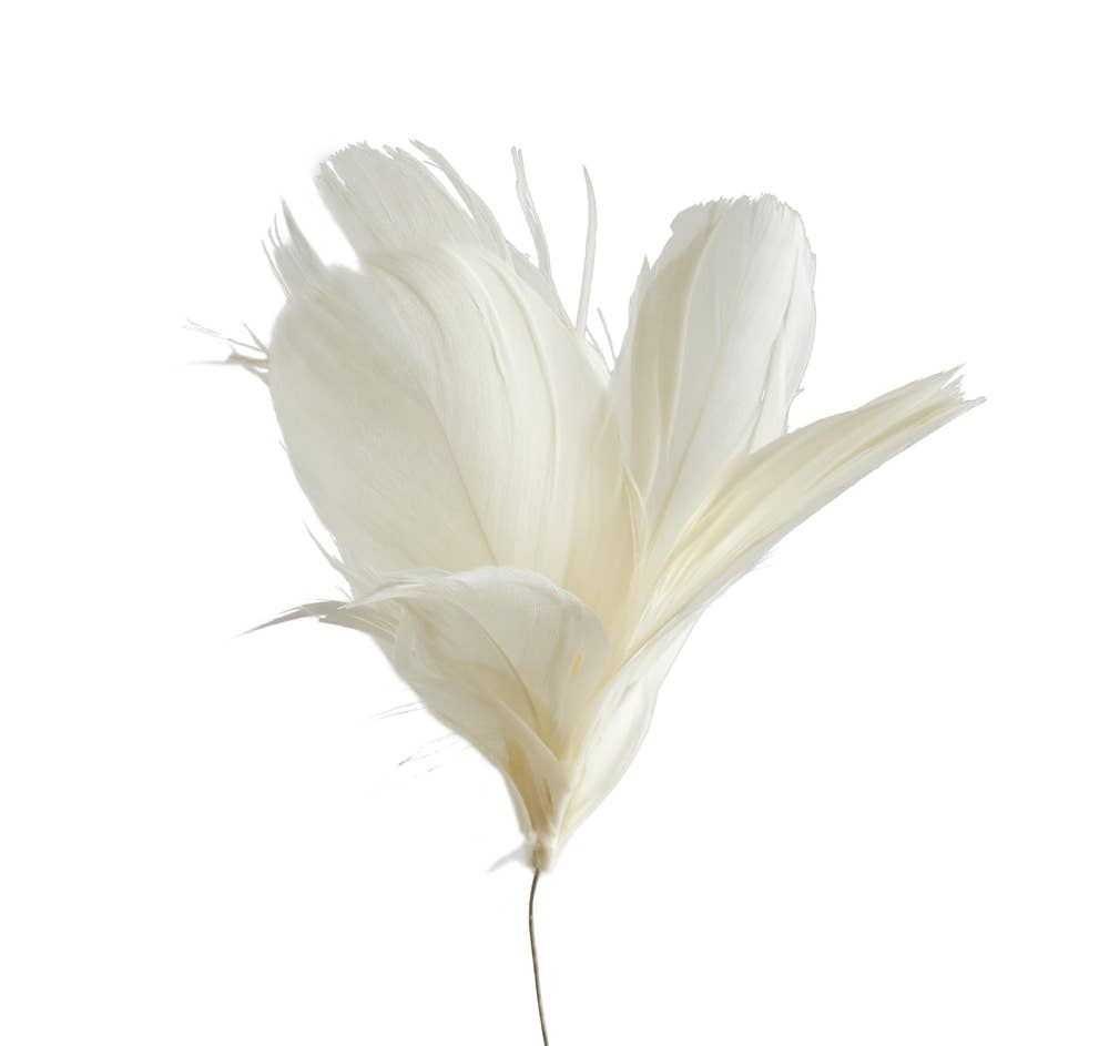 Hedlundgruppen Fjäderblomma Vit 10cm