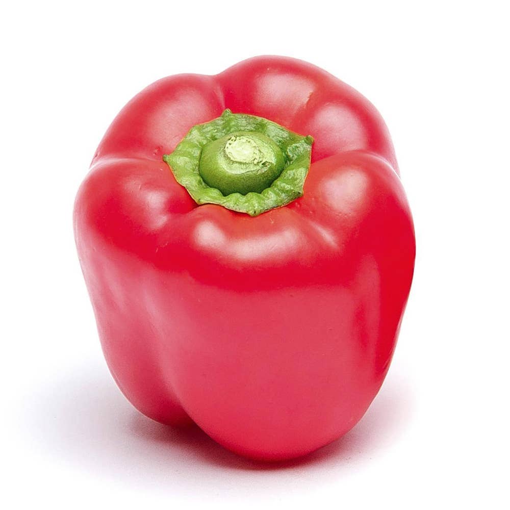 Paprika Röd Klass1 Nederländerna