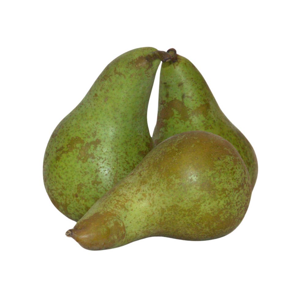 Päron Conference Klass1 Belgien