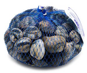 Bergfalk Venusmussla