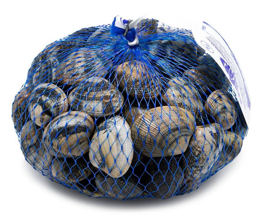 Bergfalk Venusmussla