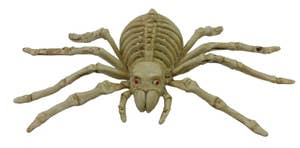 Hedlundgruppen Spindel Skelett 24cm