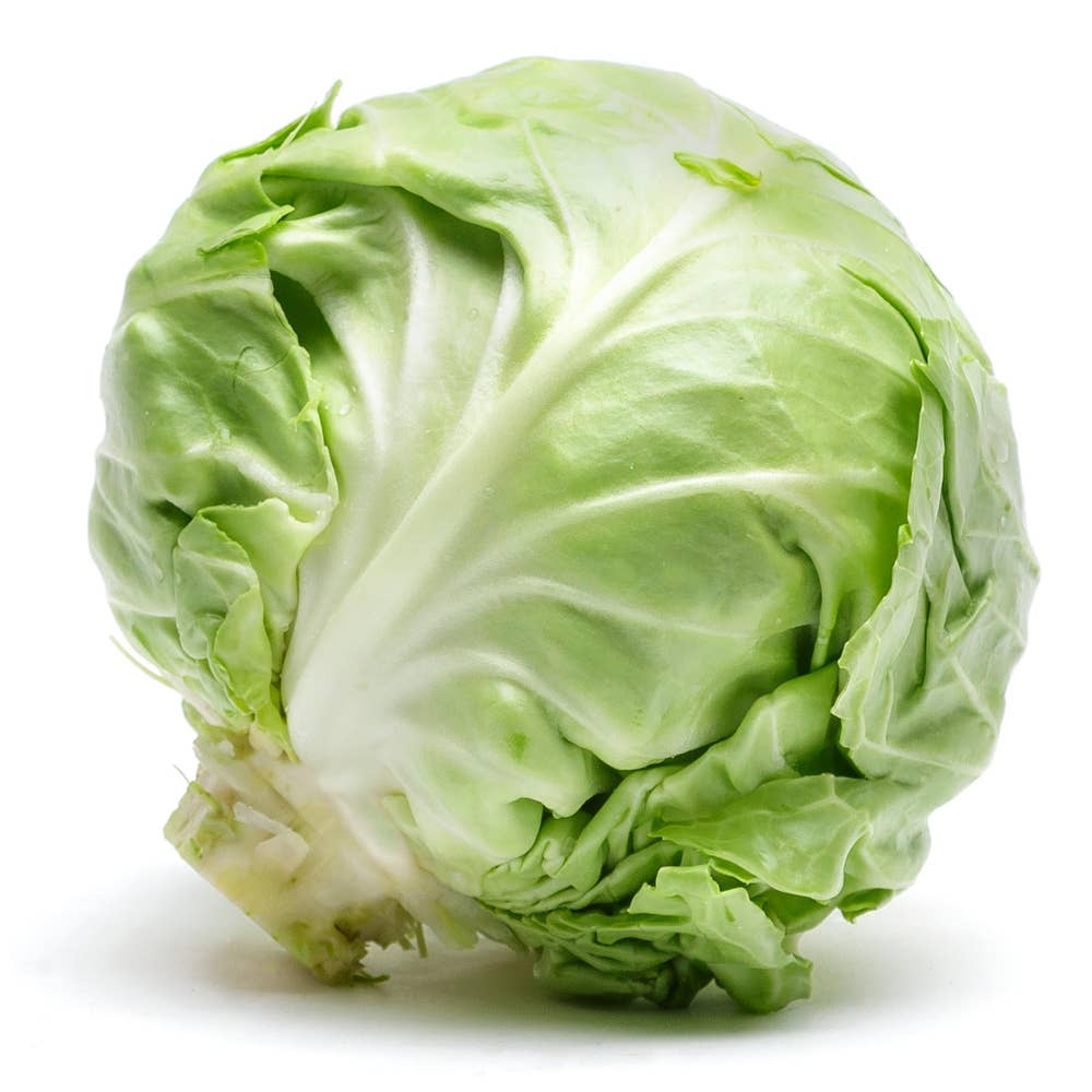 Vitkål EKO Klass1 Sverige