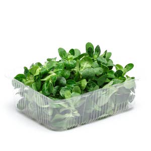 Sallad Mache Klass1 Frankrike