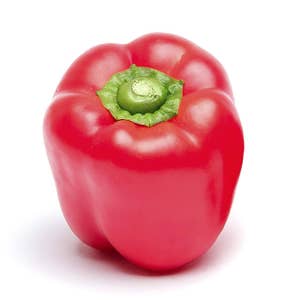 Paprika Röd Klass1 Nederländerna