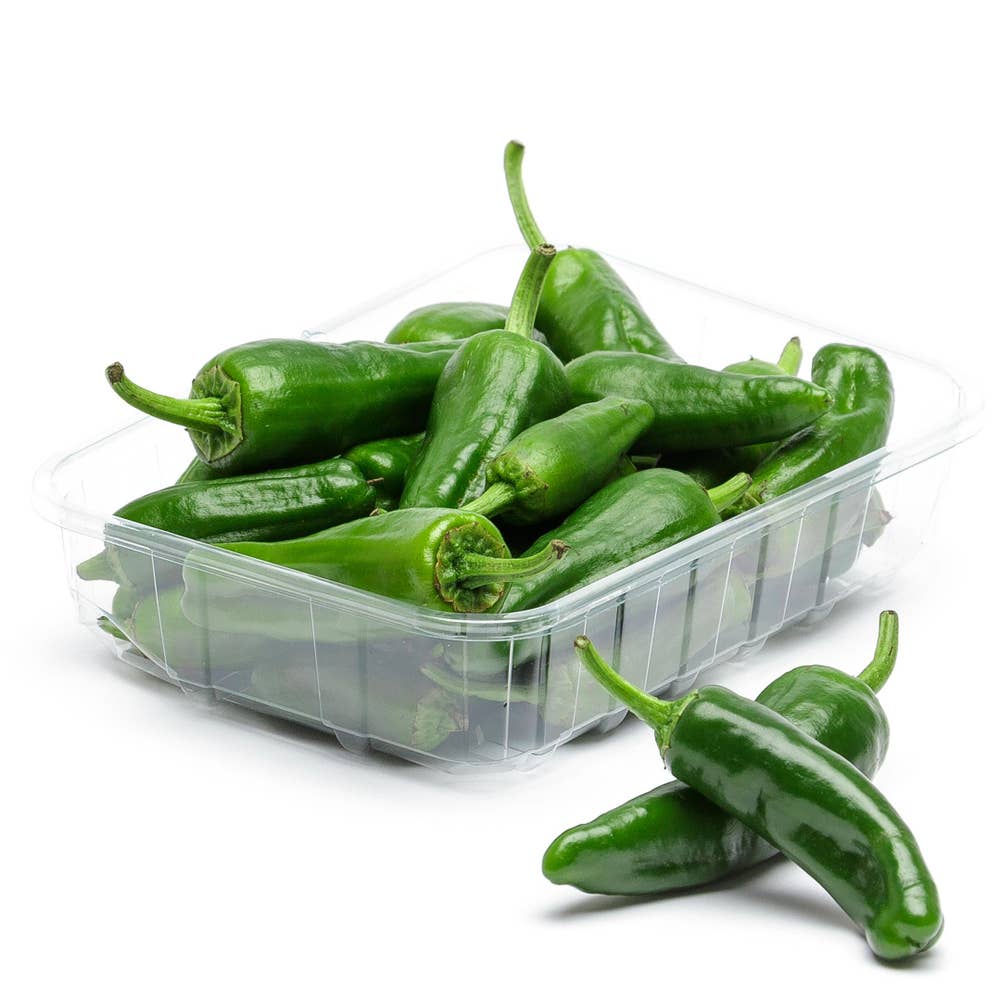 Padronchili Klass1 Marocko