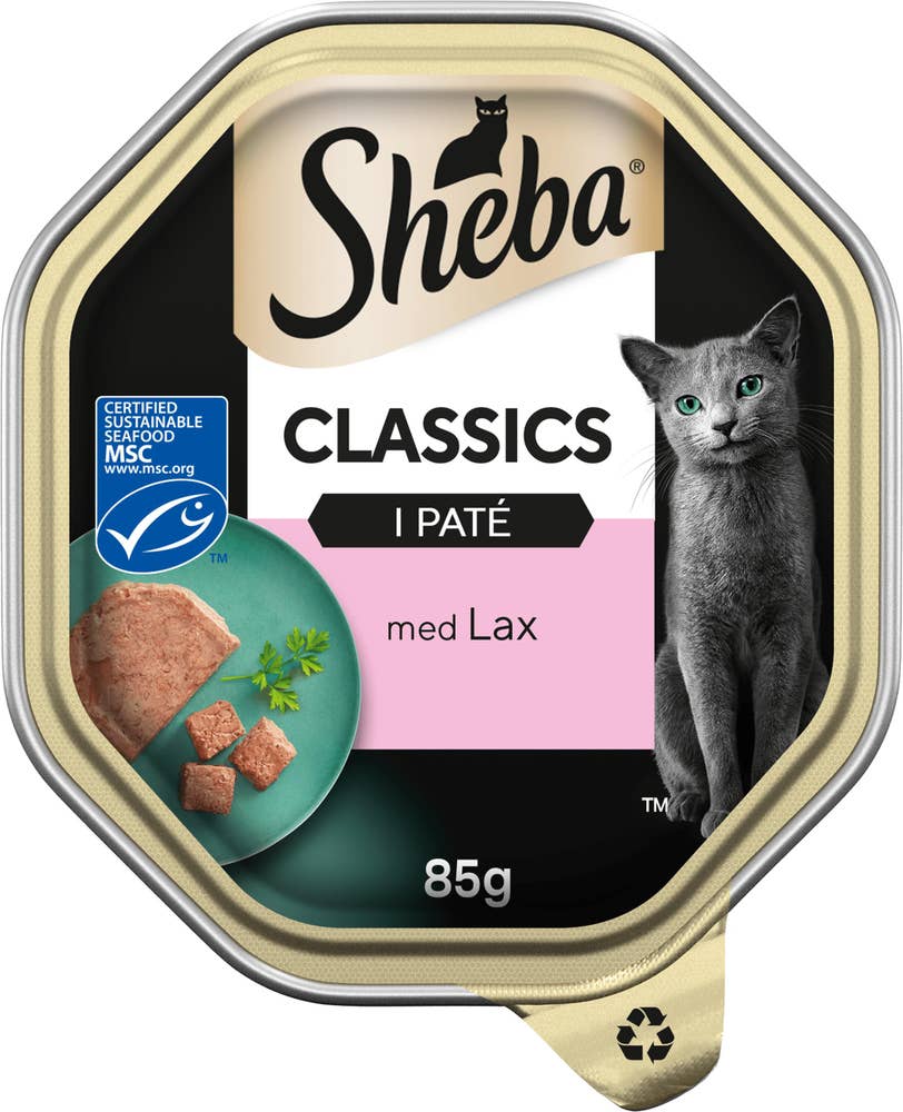 Kattmat Paté Lax