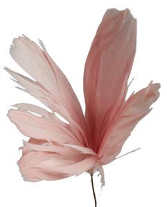 Hedlundgruppen Fjäderblomma Rosa 10cm