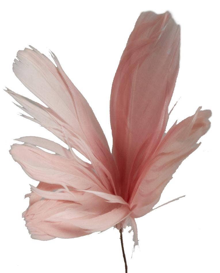 Hedlundgruppen Fjäderblomma Rosa 10cm