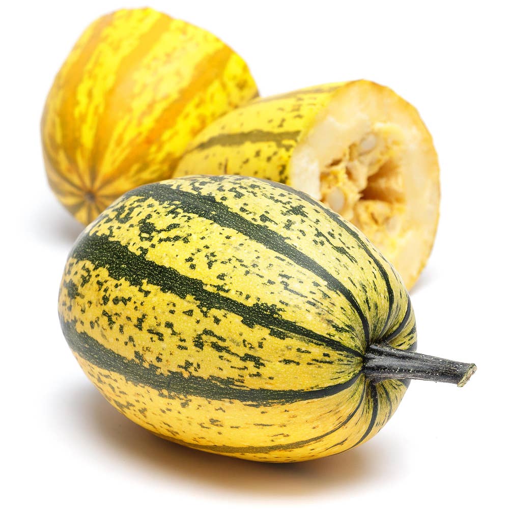 Pumpa Spaghetti Klass1 Sverige