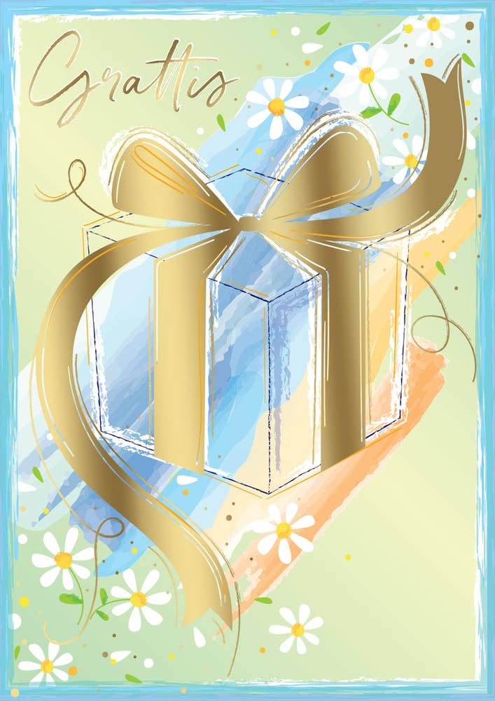 Pictura Gratulationskort med Kuvert Paket