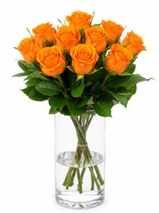 Mimea AS Rosor orange 10-pack Kenya