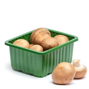 Skogschampinjoner EKO Klass1 Litauen