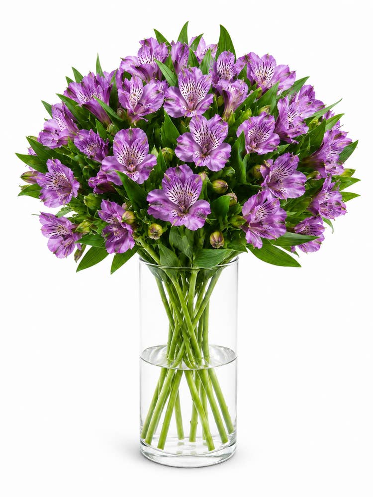 Alstroemeria